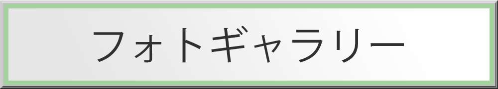 フォトギャラリー